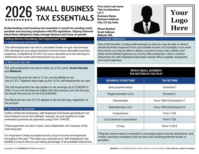 Small Business Tax Essentials