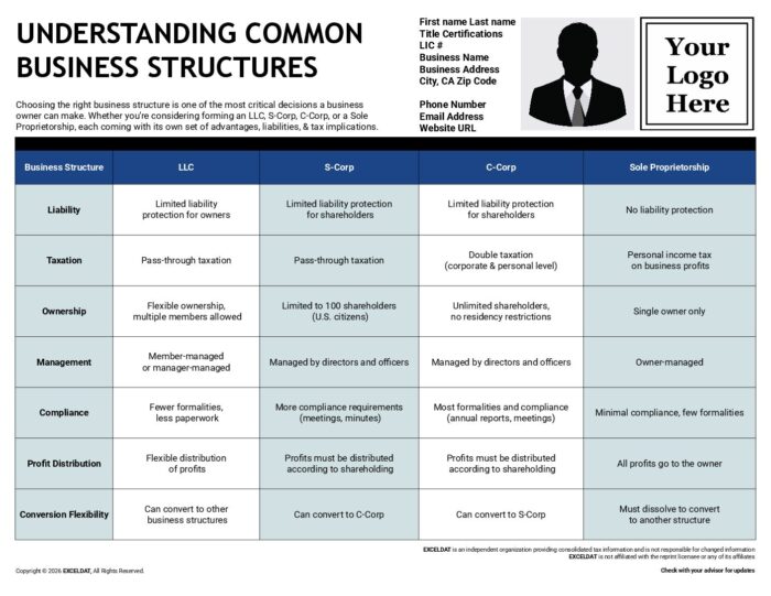 Understanding Common Business Structures Digital Download